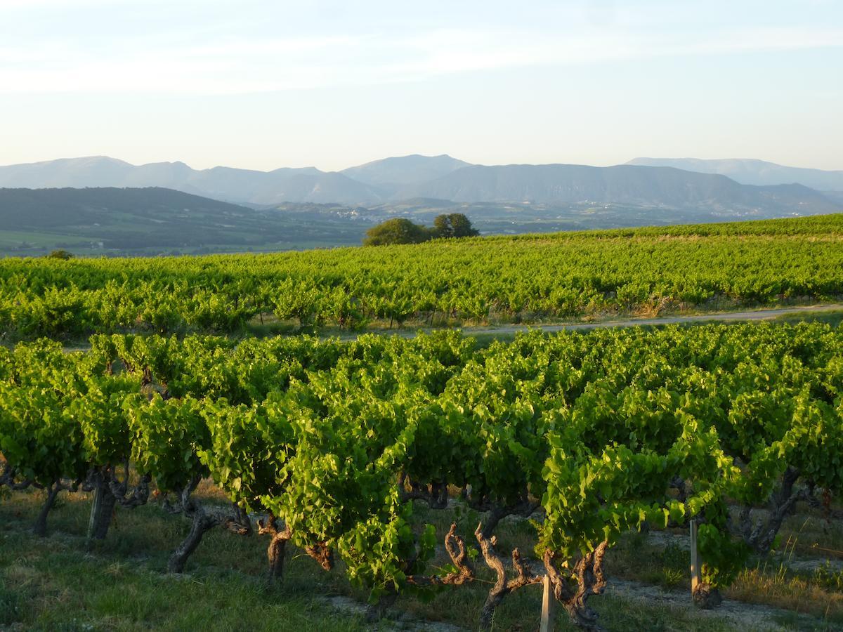 Chambres D'Hotes Climatisees Avec Cuisine D'Ete "Villa Gour Du Peyrol" Buisson Номер фото